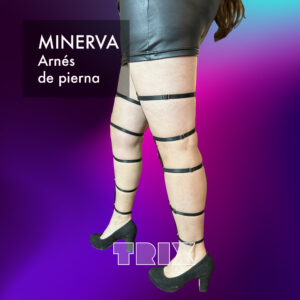 Minerva - Image 2