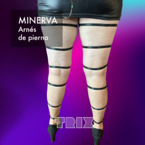 Minerva - Image 3