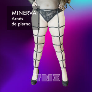 Minerva - Image 4