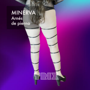 Minerva - Image 5